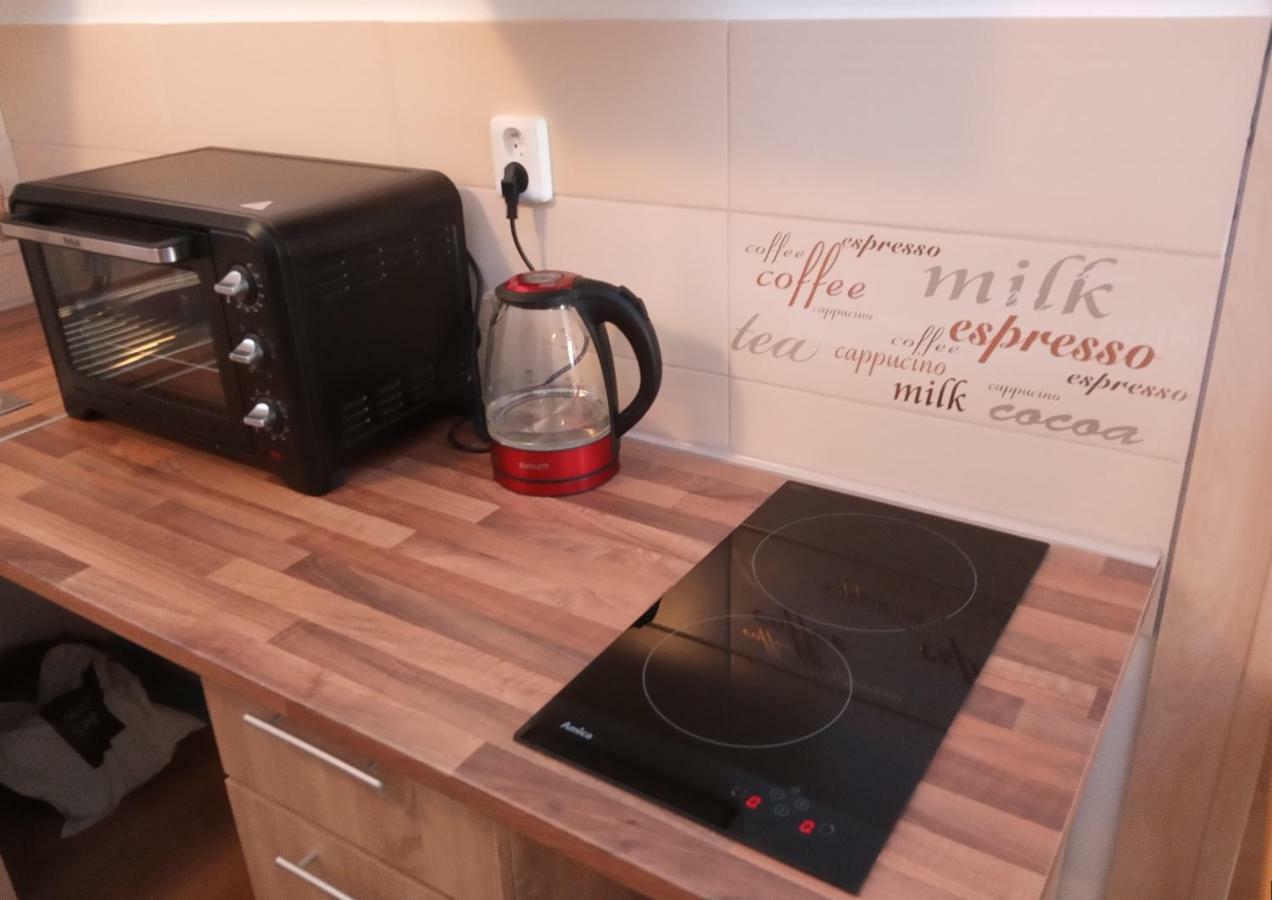 Apartment Pod Hradem Loket Dış mekan fotoğraf