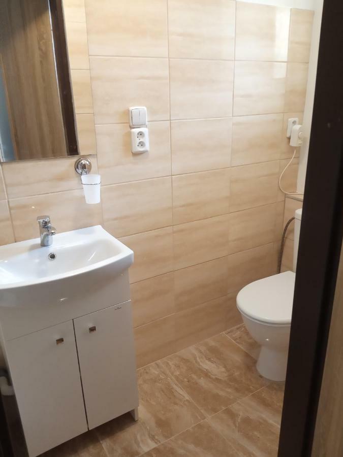 Apartment Pod Hradem Loket Dış mekan fotoğraf